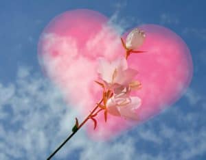 older adults and romance