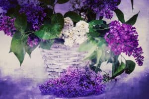 World Alzheimer's Day