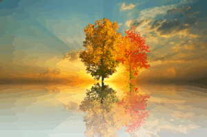 quotes about giving thanks