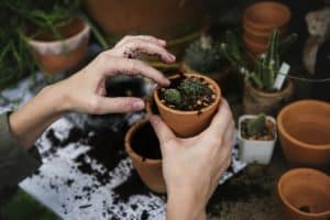 encouraging nursing home activity participation