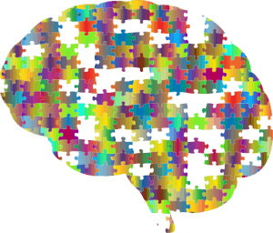 brain donation for research