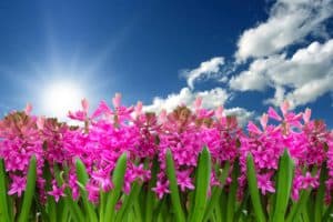 quotes for caregivers