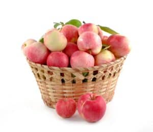 nursing home activities for Johnny Appleseed Day