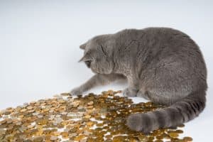 nursing home fundraising ideas