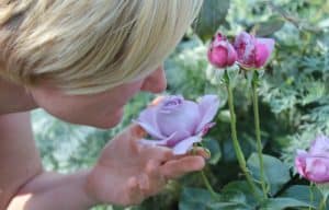 reduced sense of smell with aging