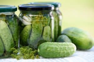National Pickle Day