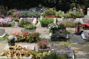 options for burial