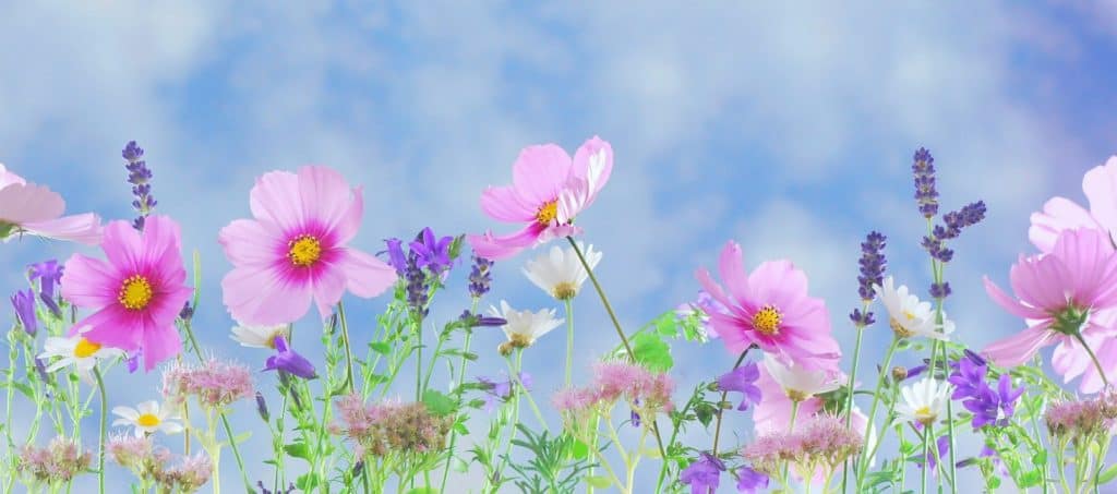May nursing home activities