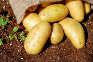 Bag of potatoes