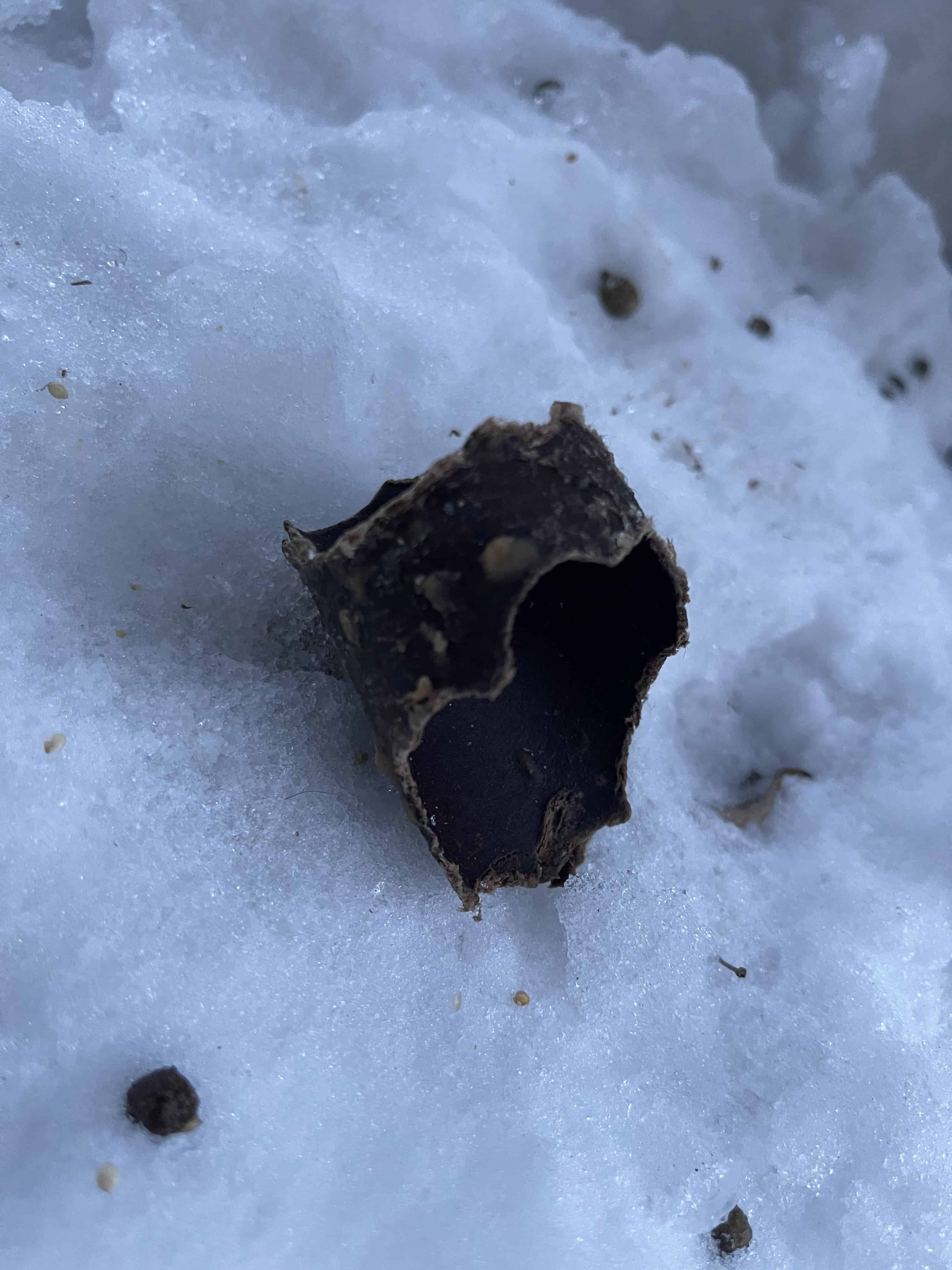 Broken bird feeder lying on the snow